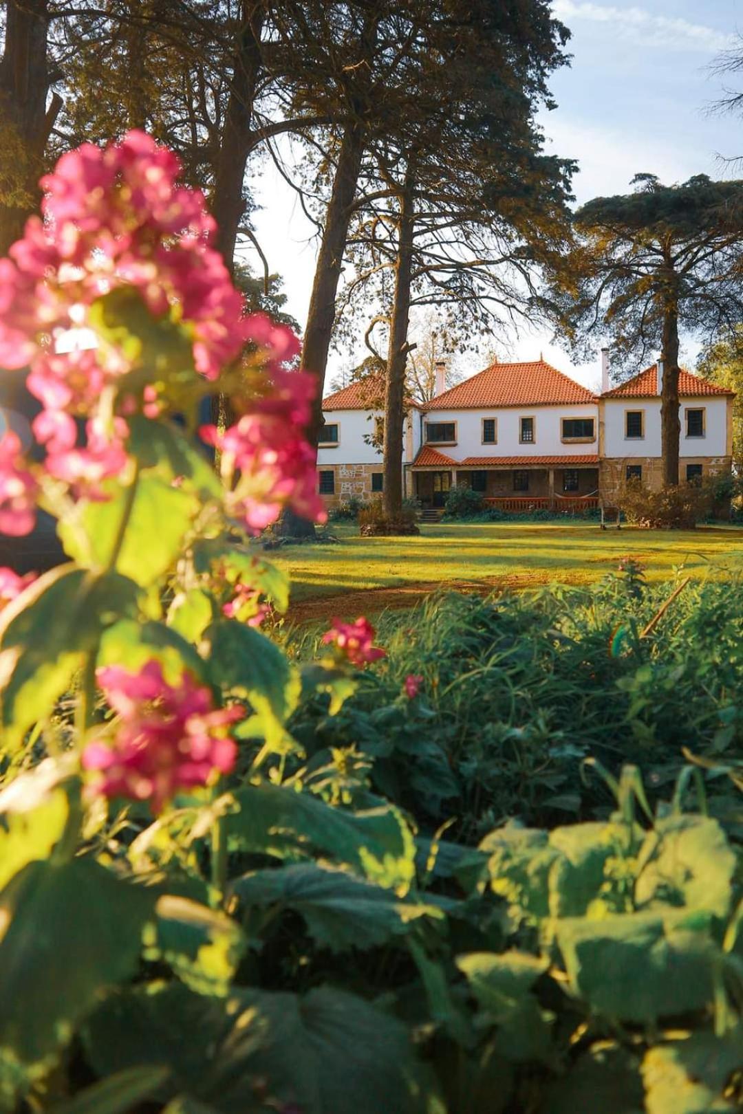 Lugar Da Pedra Alta - B&B - Private Historical Villa Melo Экстерьер фото