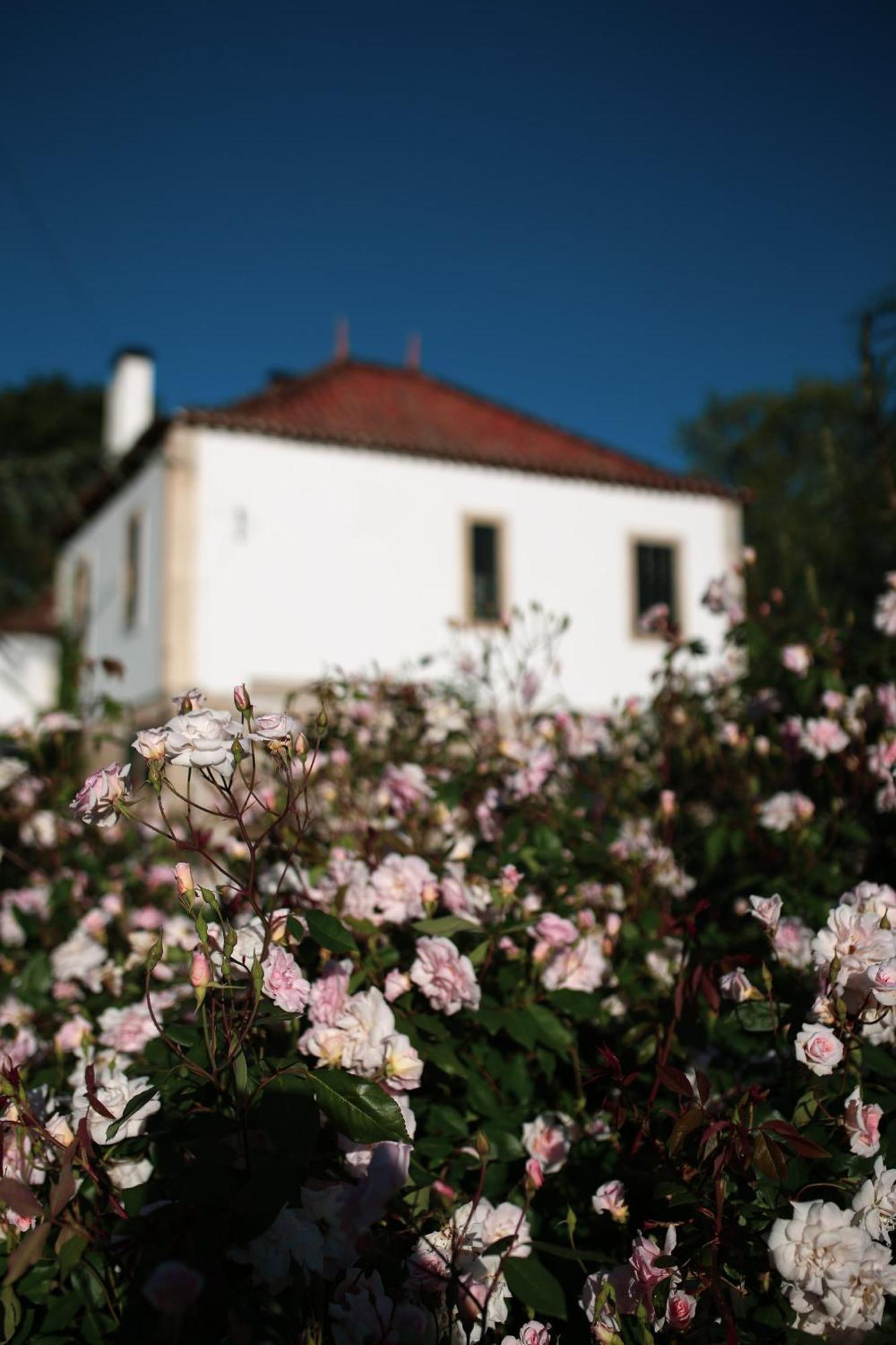 Lugar Da Pedra Alta - B&B - Private Historical Villa Melo Экстерьер фото