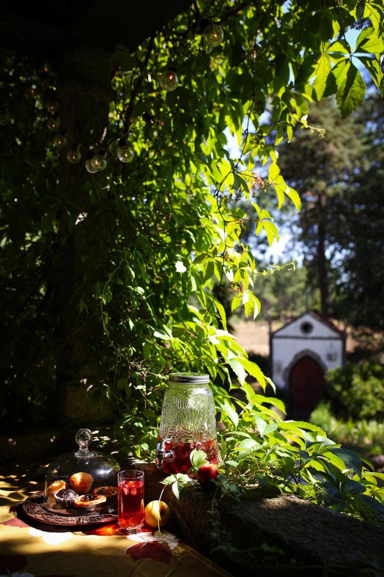 Lugar Da Pedra Alta - B&B - Private Historical Villa Melo Экстерьер фото